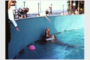 Disneyland och Sea World (3).JPG